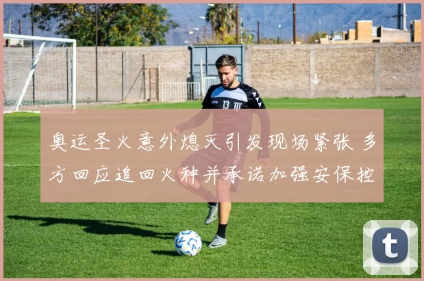 奥运圣火意外熄灭引发现场紧张 多方回应追回火种并承诺加强安保控