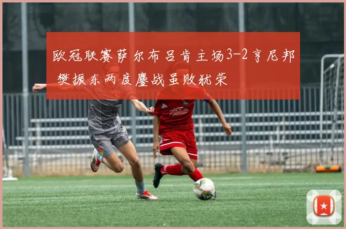 欧冠联赛萨尔布吕肯主场3-2亨尼邦 樊振东两度鏖战虽败犹荣