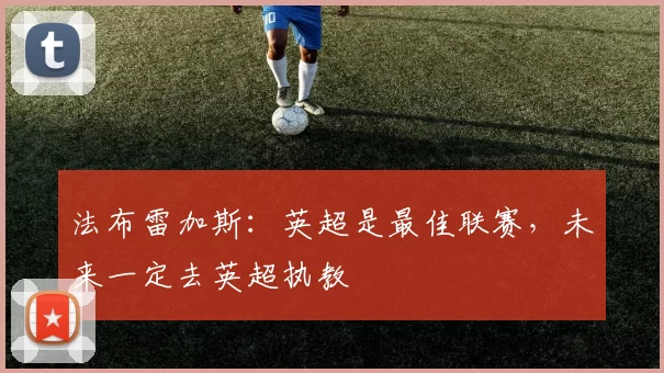 法布雷加斯：英超是最佳联赛，未来一定去英超执教