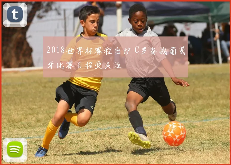 2018世界杯赛程出炉 C罗备战葡萄牙比赛日程受关注