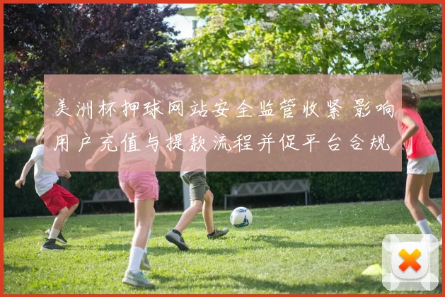 美洲杯押球网站安全监管收紧 影响用户充值与提款流程并促平台合规